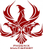 A Triathilon Team logo